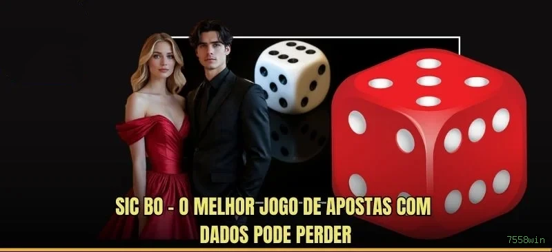 Segurança 7558win